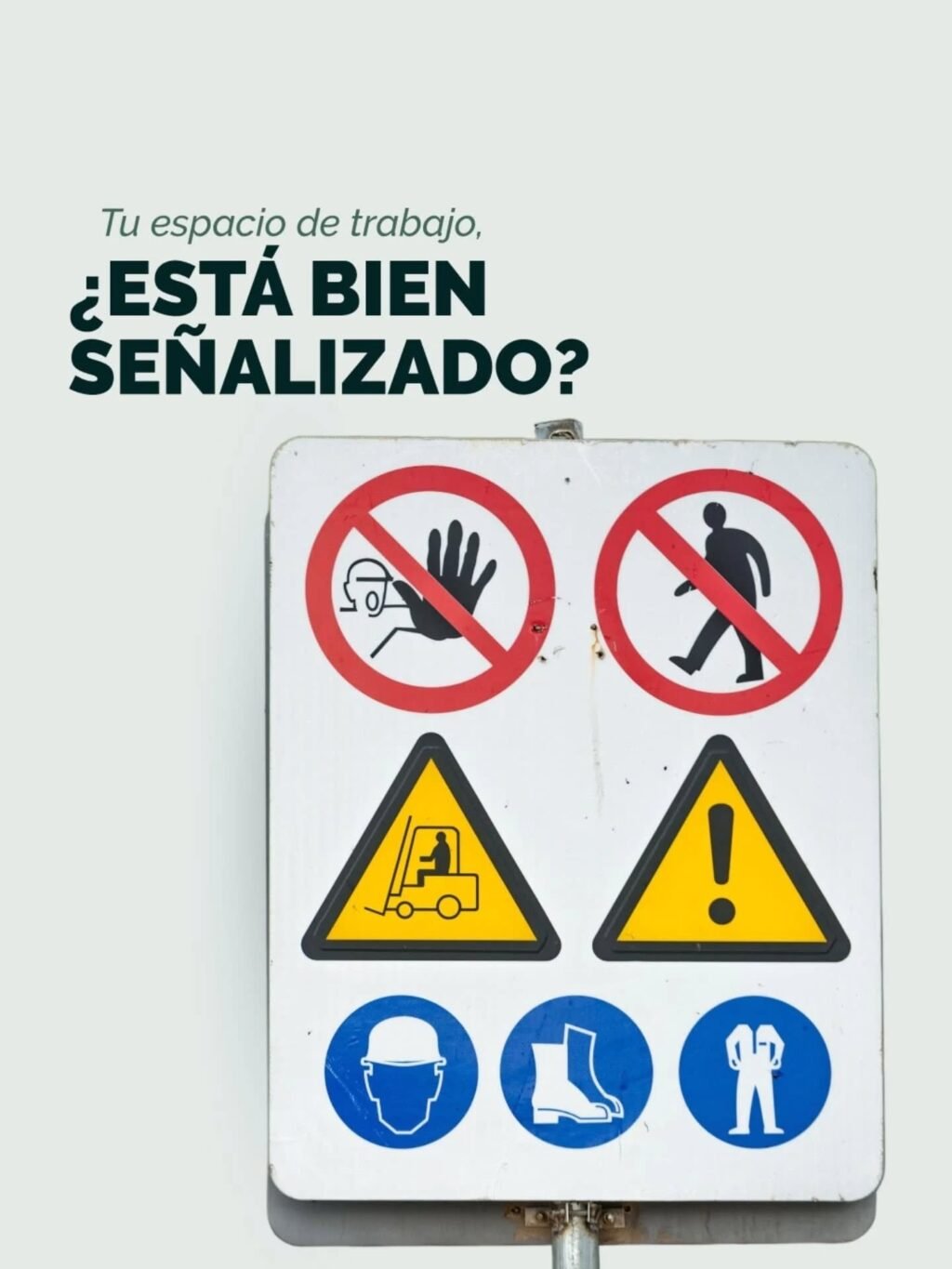 Instagram post from distribuidorarossistafe. This post is in position 0.